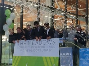 Meadows opening